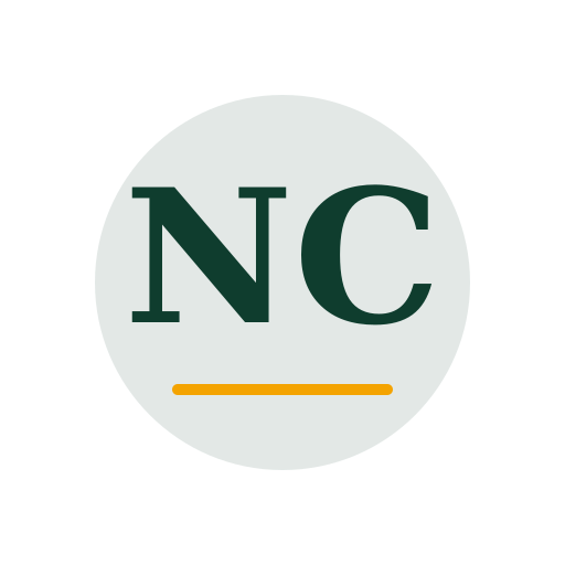 Nylem Chimney Repair logo